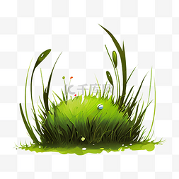 草坪绿色植物