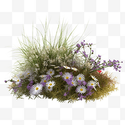 漂亮的紫色花朵图片_草丛紫色漂亮的花朵