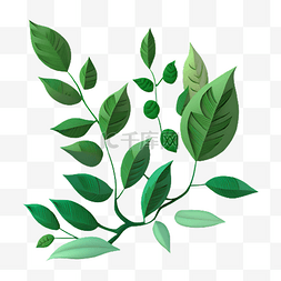 植物枝叶绿色卡通插画