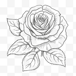 花的轮廓图片_玫瑰与叶子的插图，用于着色轮廓