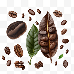 咖啡豆咖啡实物图
