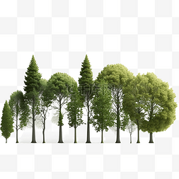 大绿树叶子图片_森林植物树卡通
