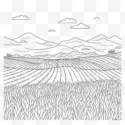 玉米水田耕作插画风景着色轮廓素