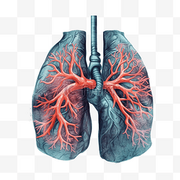 哮喘日肺部红色插画