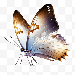 蝴蝶翅膀图片_发光玻璃水晶蝴蝶精致好看