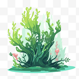 海洋植物