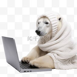 北极熊在笔记本电脑前编织