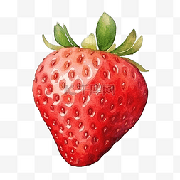 水彩画草莓