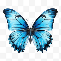 抽象水彩手绘图图片_蓝色蝴蝶绘图