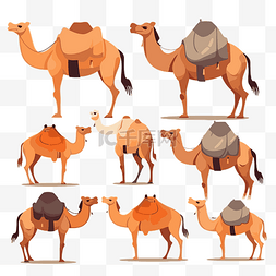 集合位置图片_骆驼剪贴画 骆驼在集合卡通的不