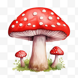 蘑菇林图片_红蘑菇水彩插图