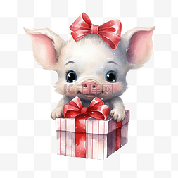 猪卡通动物形象图片_圣诞节的可爱猪，带有水彩插图