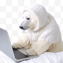 北极熊水彩图片_北极熊在笔记本电脑前编织