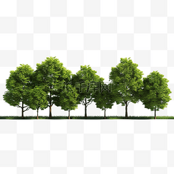 一排树隔离 3D 渲染插图