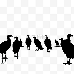 ai格式图片_基于我的摄影的黑秃鹫鸟群的剪影