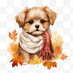 可爱的小狗围巾水彩插图你好秋天