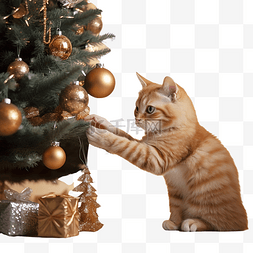 在节日房间的圣诞树下递可爱的猫