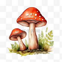 水彩蘑菇可爱剪贴画