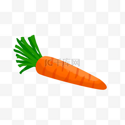 长的蔬菜图片_胡萝卜黄色的萝卜