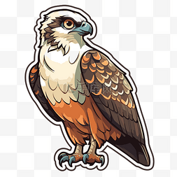 一只橙色喙和白色翅膀的鹰的贴纸