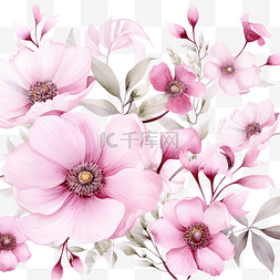 水彩粉红色花卉植物