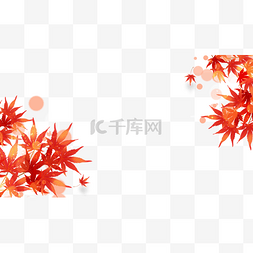 秋季树叶枫叶边框自然季节红色
