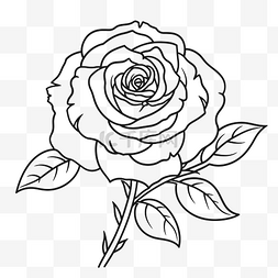 白色花瓣玫瑰图片_白色背景上的玫瑰花着色页轮廓素