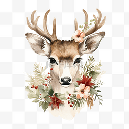 手绘鹿与圣诞花的水彩肖像
