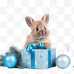 礼盒里的小兔子和绿色圣诞节的蓝