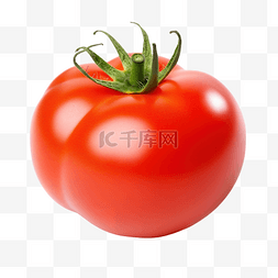 植物番茄图片_蔬菜 红番茄