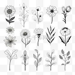 线条艺术花集黑色和白色细线形花