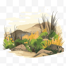 草原剪贴画插图沙漠景观与草和花