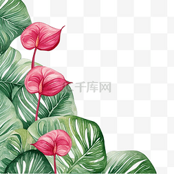 植物婚礼卡片图片_热带叶子红掌背景框架叶子与水彩