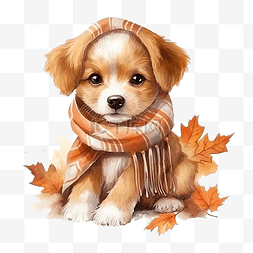 秋天小插图图片_可爱的小狗围巾水彩插图你好秋天