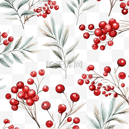 手绘圣诞树枝图片_圣诞树枝和冬季浆果圣诞花卉水彩