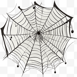 蜘蛛网剪贴画蜘蛛网隔离在白色与