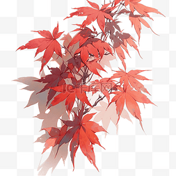 新鲜的大红叶