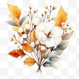 棉花花束图片_水彩元素树叶和棉花花束