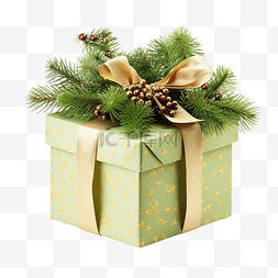 礼品盒和圣诞树枝隔离在白色
