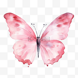 水彩粉红蝴蝶