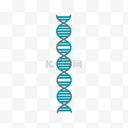 基因人类序列组合