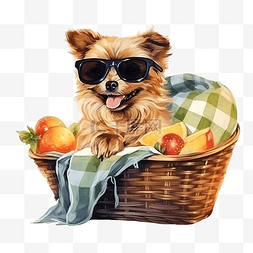 戴着太阳镜的可爱狗坐在篮子里，
