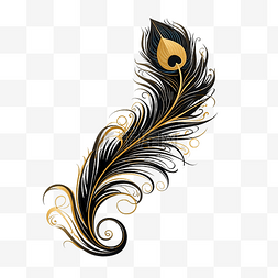 孔雀尾巴图片_黑色和金色风格的孔雀羽毛，没有
