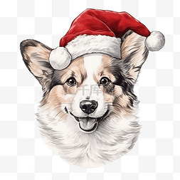 手绘柯基犬图片_圣诞配饰中的柯基犬手绘肖像