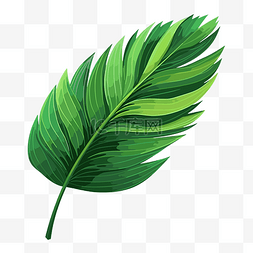 棕櫚樹葉 向量