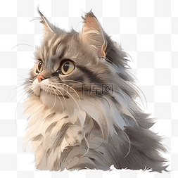 英国品种宠物概念猫的肖像
