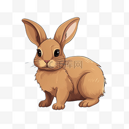 棕色兔子兔子插画