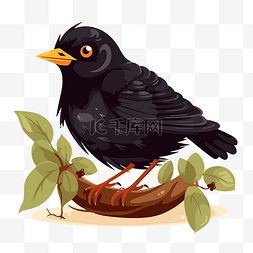 黑鸟剪贴画卡通黑鸟站在有叶子的