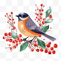 冬天的浆果图片_冬季圣诞鸟，有树枝和浆果