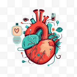 心脏剪贴画插图人的心脏及其周围